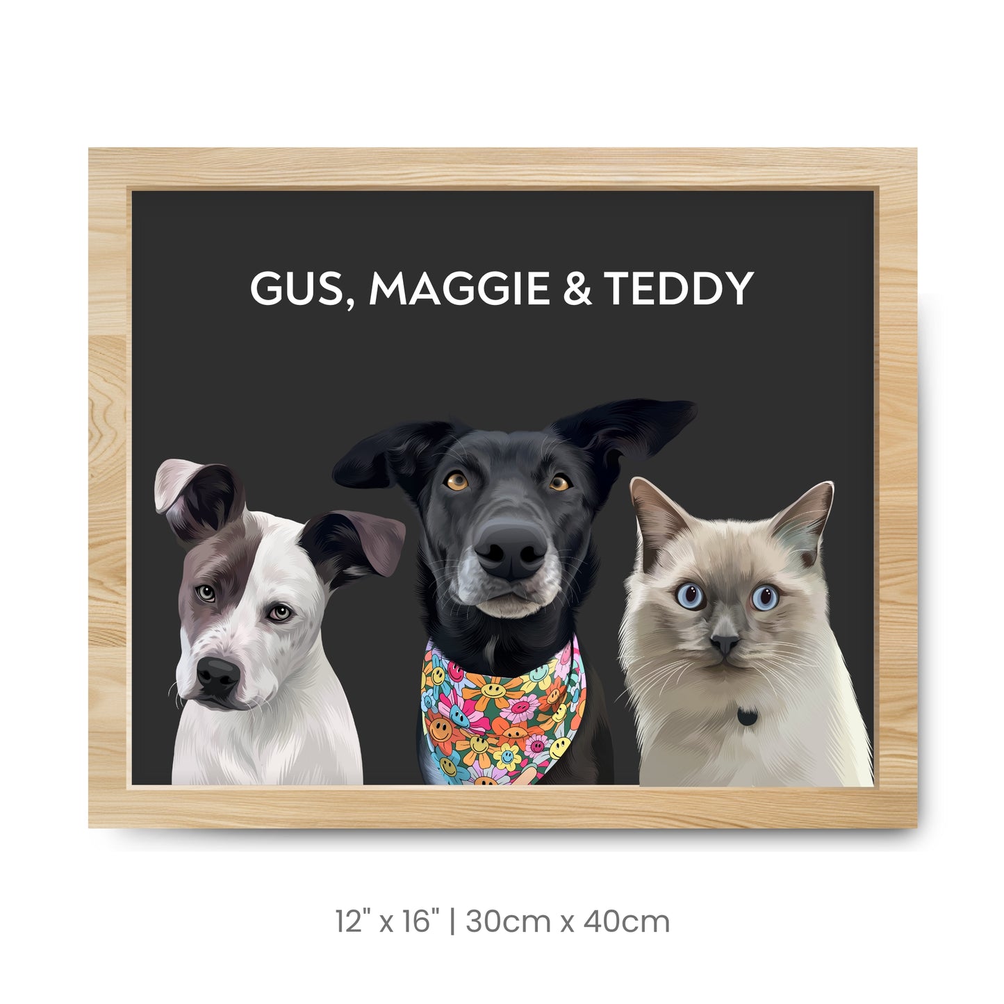 3 Pets