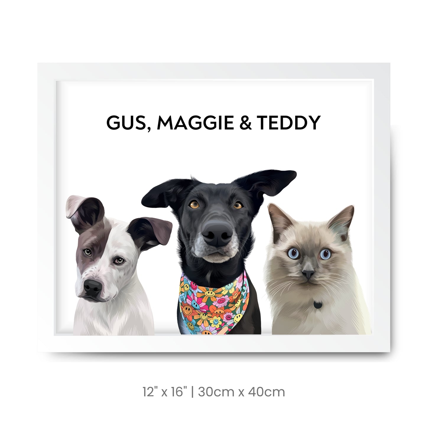 3 Pets
