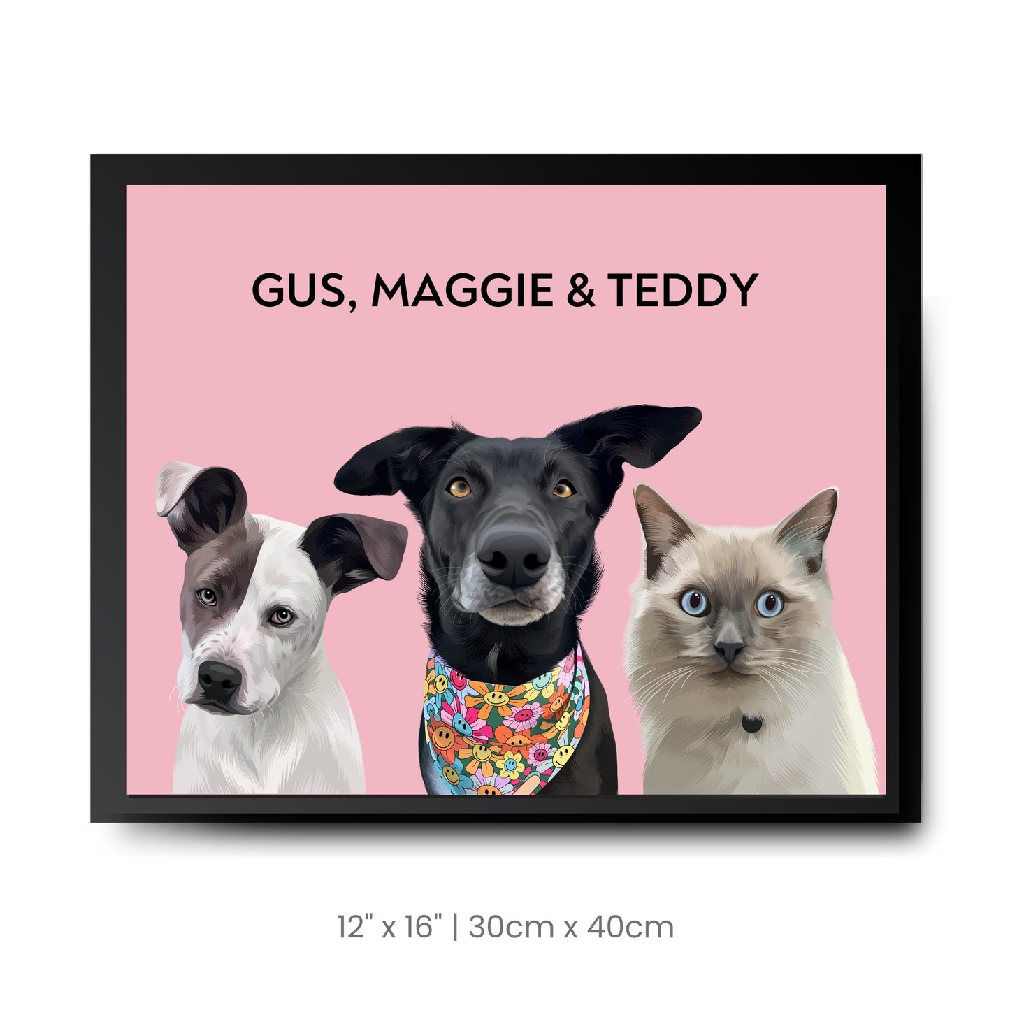 3 Pets