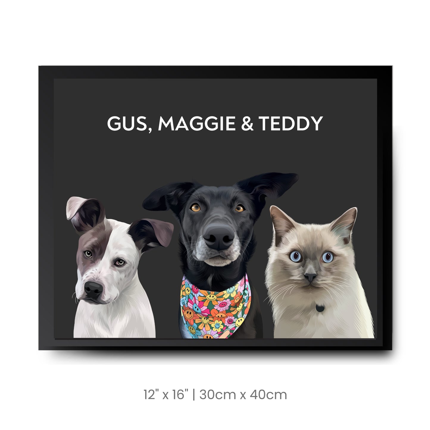 3 Pets