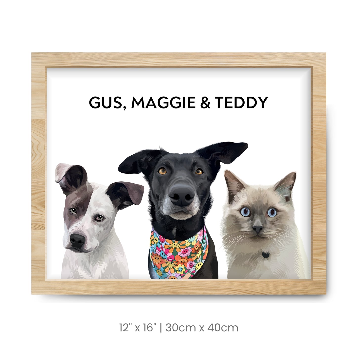 3 Pets