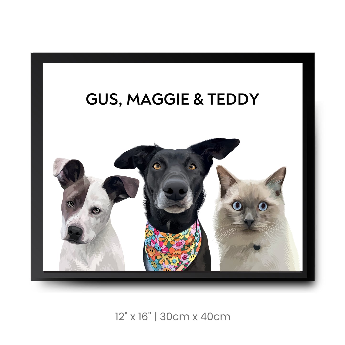 3 Pets