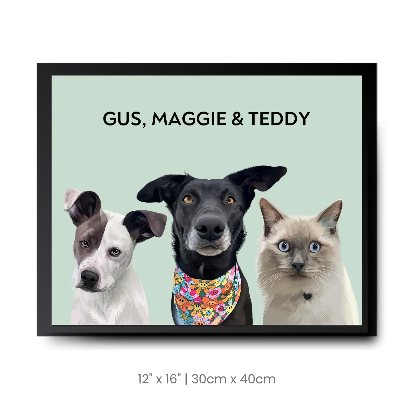 3 Pets