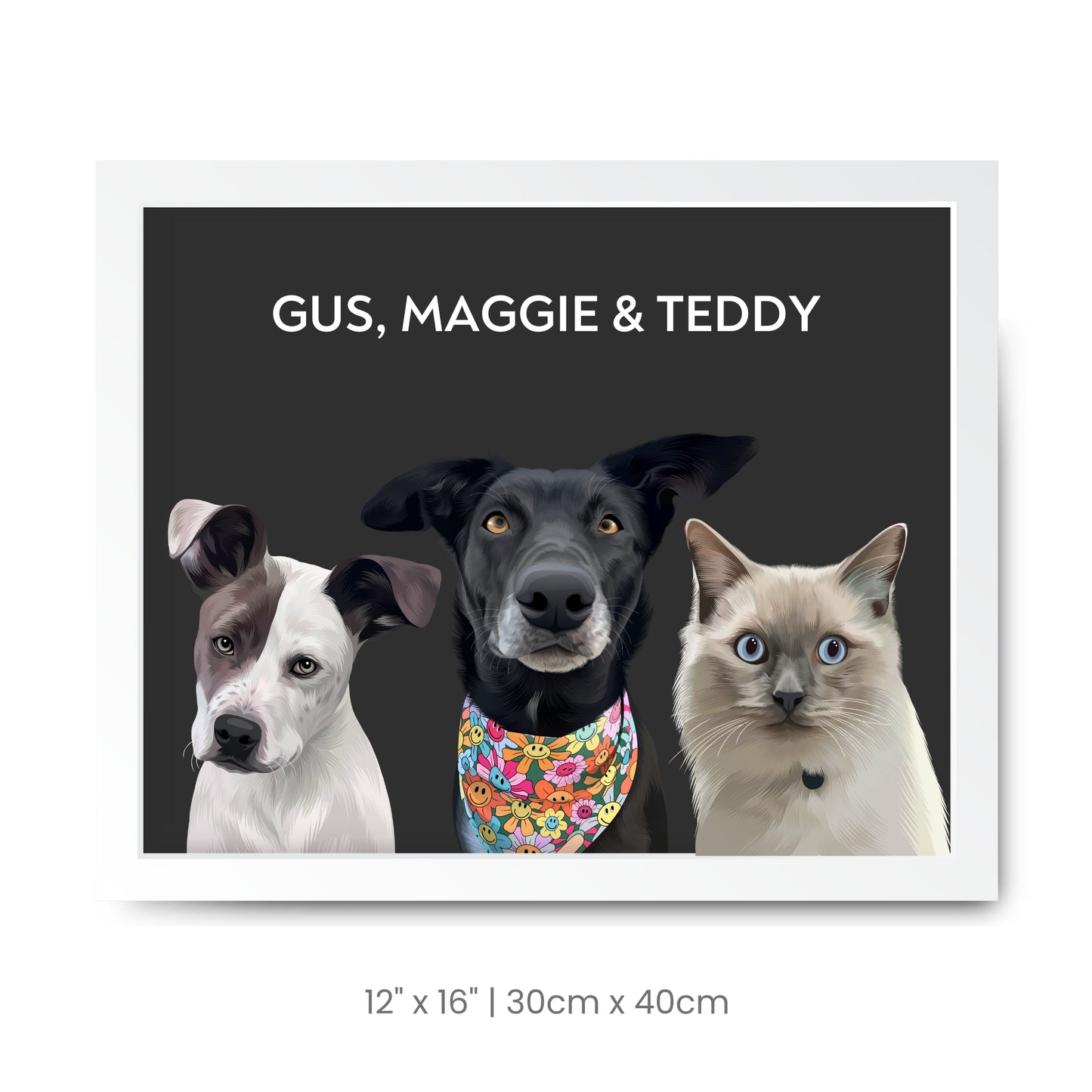 3 Pets