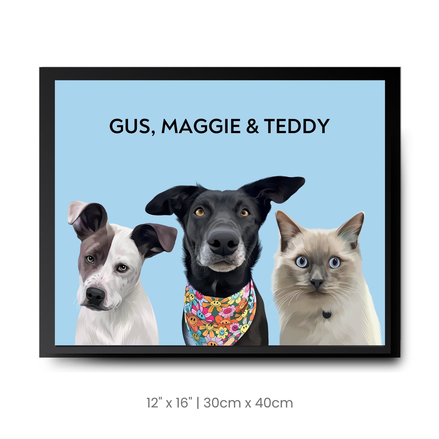 3 Pets