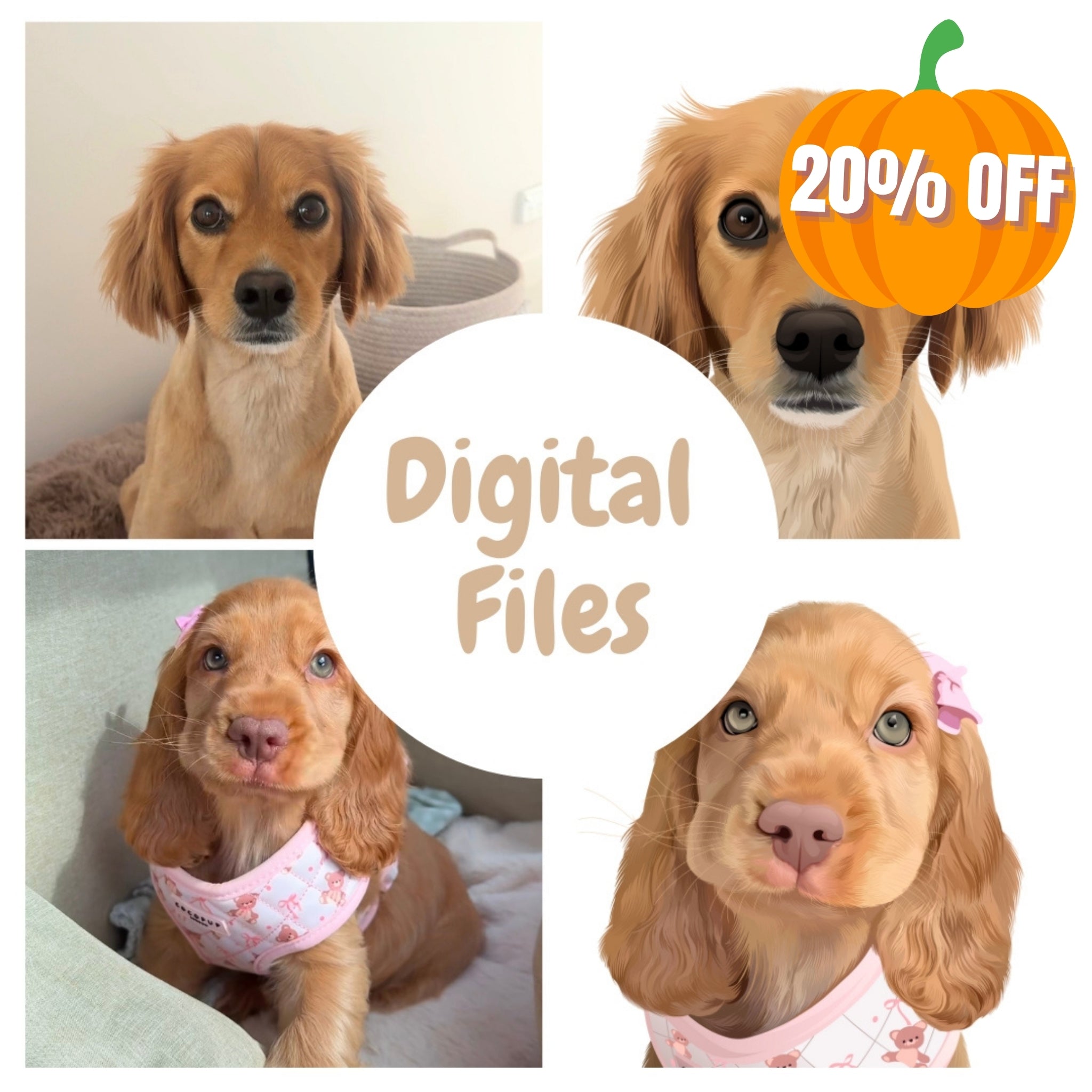 Digital File Only