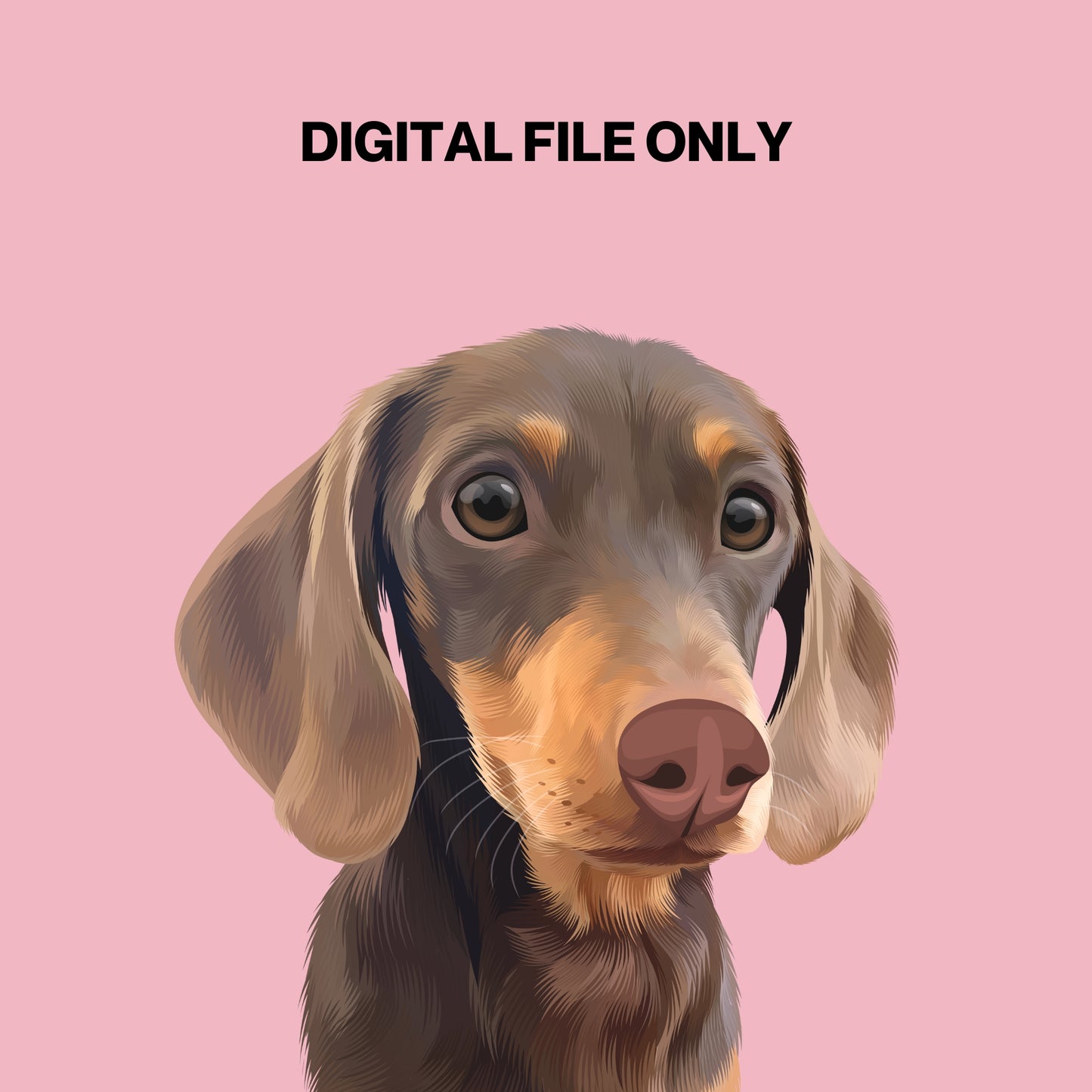 Digital File Only