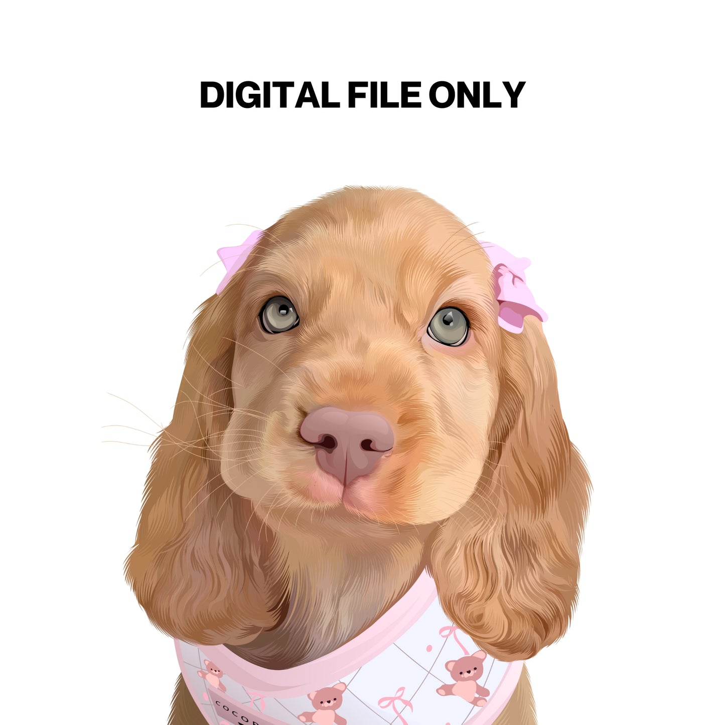 Digital File Only